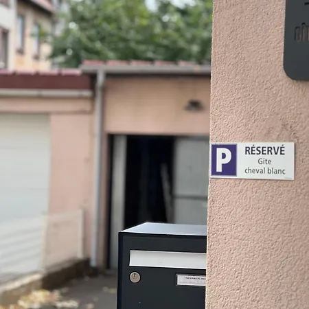 Au Cheval Blanc - Appartement Familial 6P Parking Prive Gratuit- 15 Min Centre Ville Διαμέρισμα