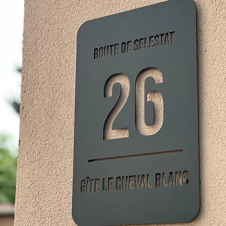 Au Cheval Blanc - Familial 6p Parking Prive Proche Centre *