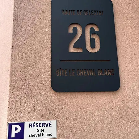 Au Cheval Blanc - Appartement Familial 6P Parking Prive Gratuit- 15 Min Centre Ville * Κολμάρ