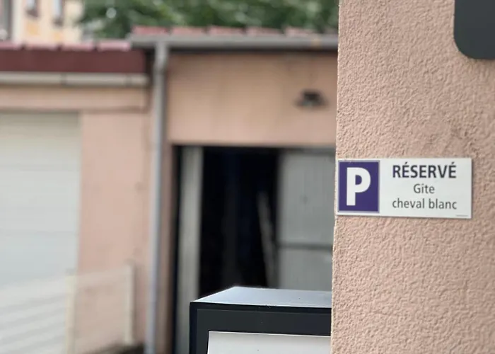 Au Cheval Blanc - Familial 6p Parking Privé Proche Centre Apartamento