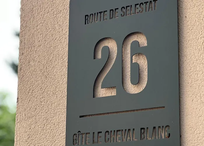 Au Cheval Blanc - Familial 6p Parking Privé Proche Centre *